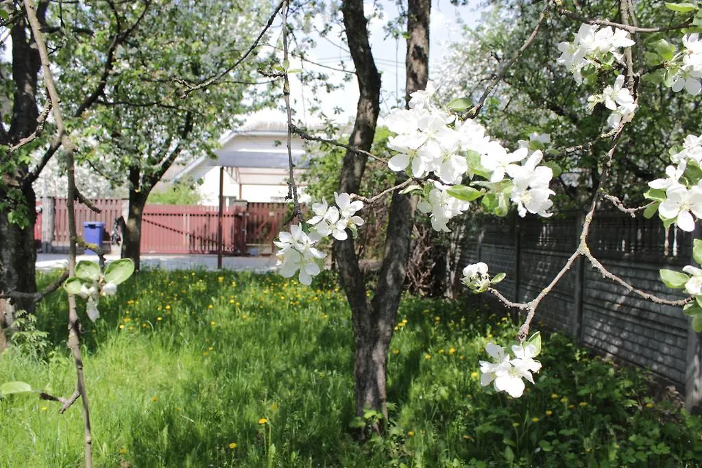 Guest House Jasmin Минск Беларусь