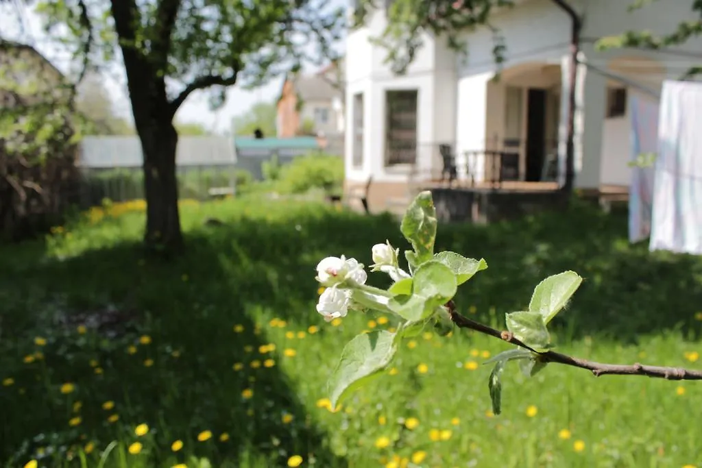 Guest House Jasmin Минск Беларусь